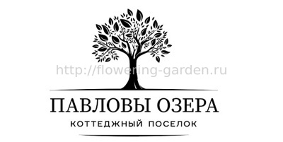 ozera_logo